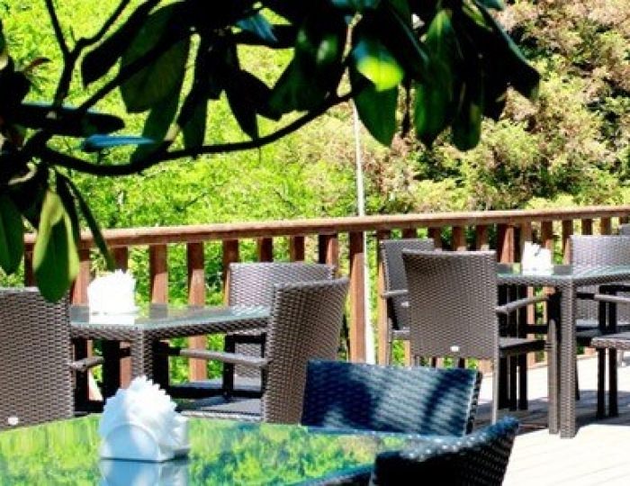 Кафе «Шале» - Парк-отель «Небуг»