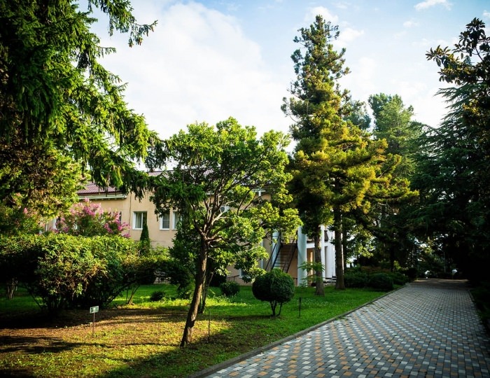 Внешний вид и территория - Парк-отель «Небуг»