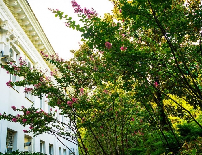 Внешний вид и территория - Парк-отель «Небуг»