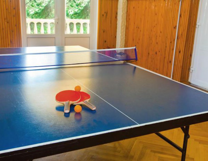 Настольный теннис - Парк-отель «Небуг»